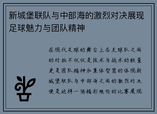 新城堡联队与中部海的激烈对决展现足球魅力与团队精神