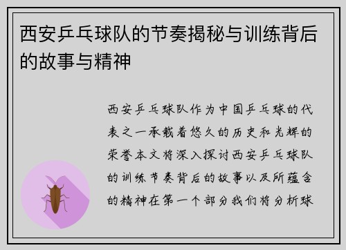 西安乒乓球队的节奏揭秘与训练背后的故事与精神