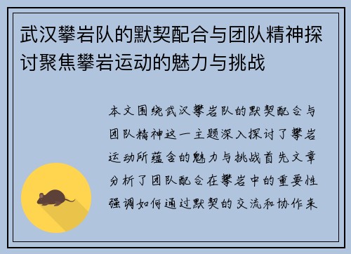 武汉攀岩队的默契配合与团队精神探讨聚焦攀岩运动的魅力与挑战
